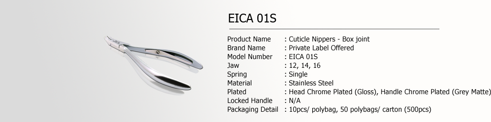 EICA 01S